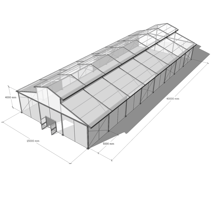 Tenda da matrimonio con struttura trasparente di grandi dimensioni, struttura a baldacchino, struttura per tendone, parete in vetro, atrio, evento, tende commerciali per eventi